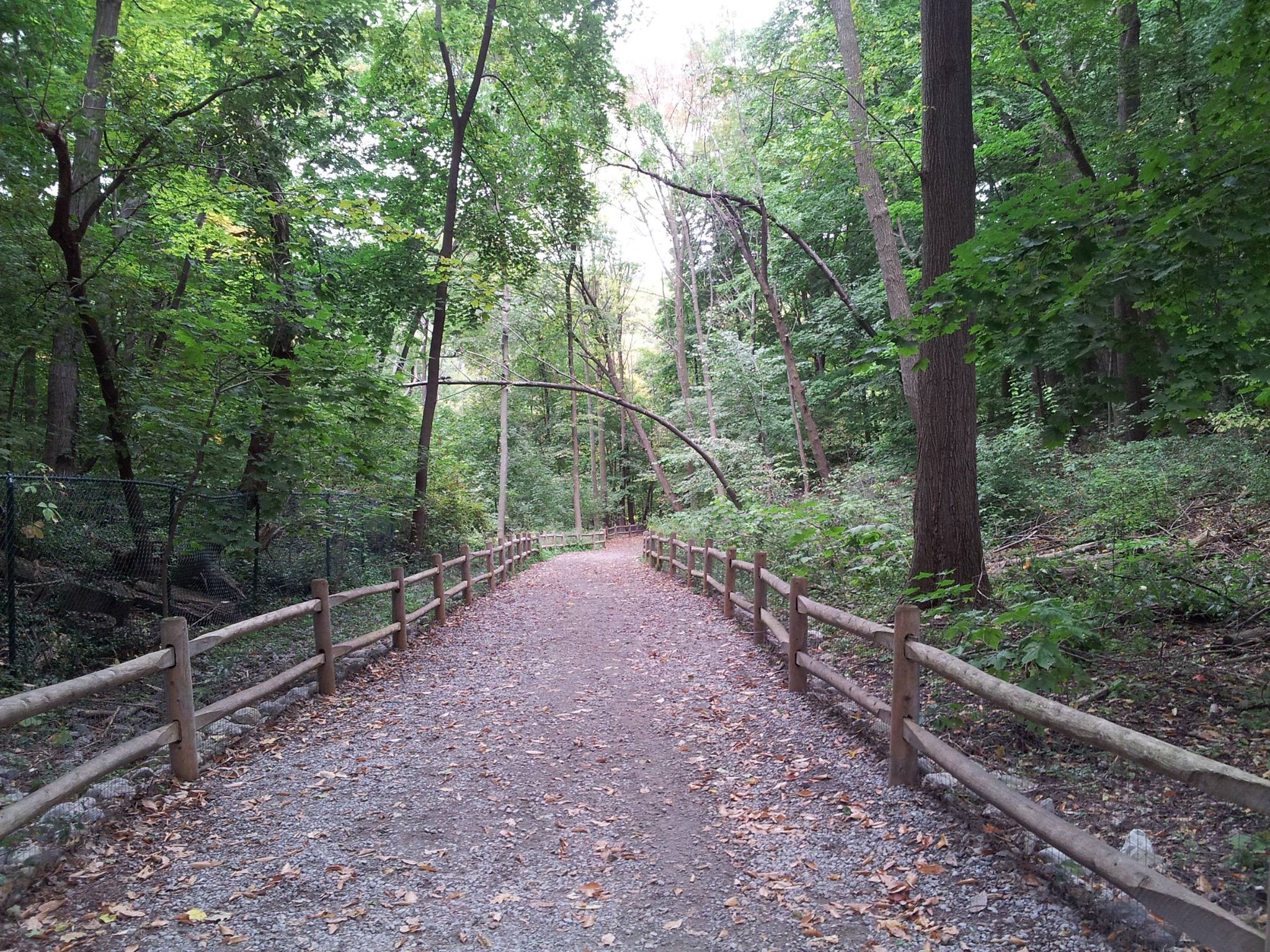 red wing mountain biking