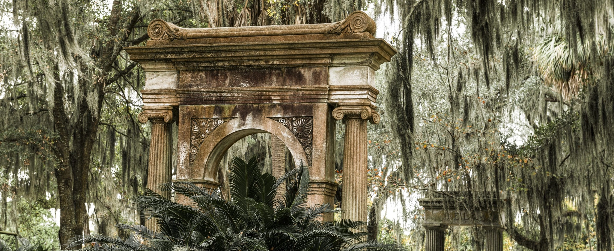 spanish moss in Bonaventure Cemetery